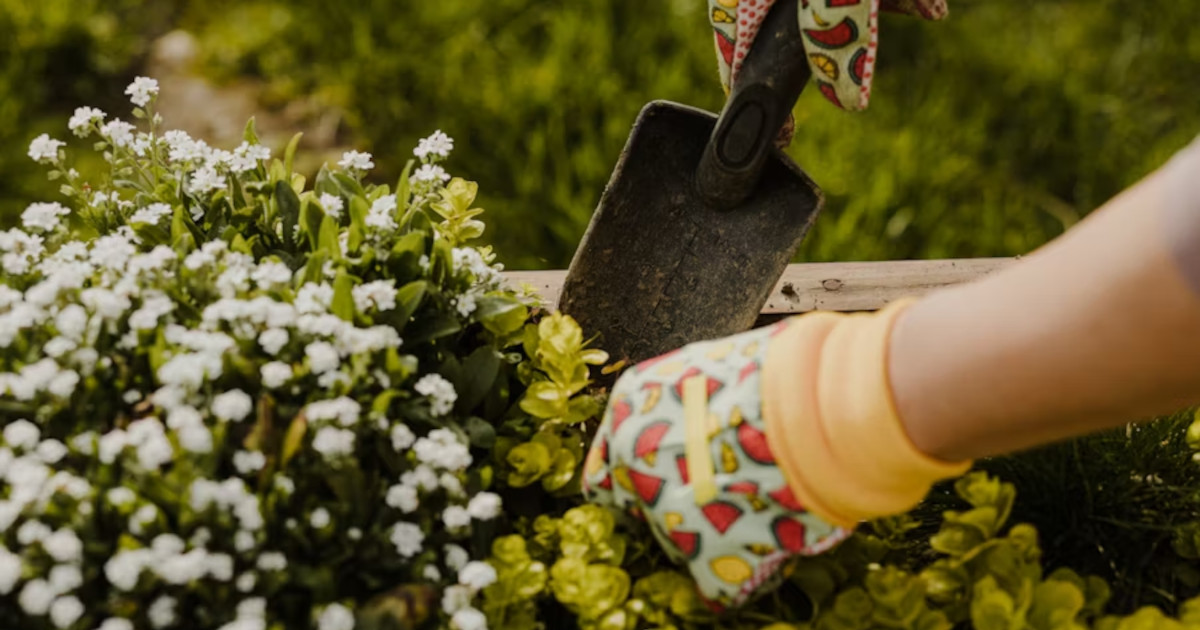 8 Surprising Ways Gardening Boosts Your Mind and Body