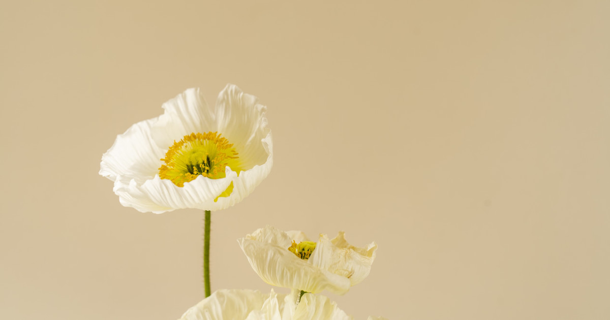 Functional Medicine seeks to identify and address the root causes of health issues.
