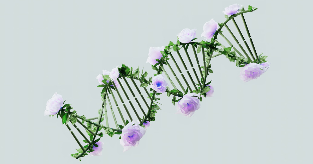 How Your Environment Shapes Your Health: Discover Epigenetics