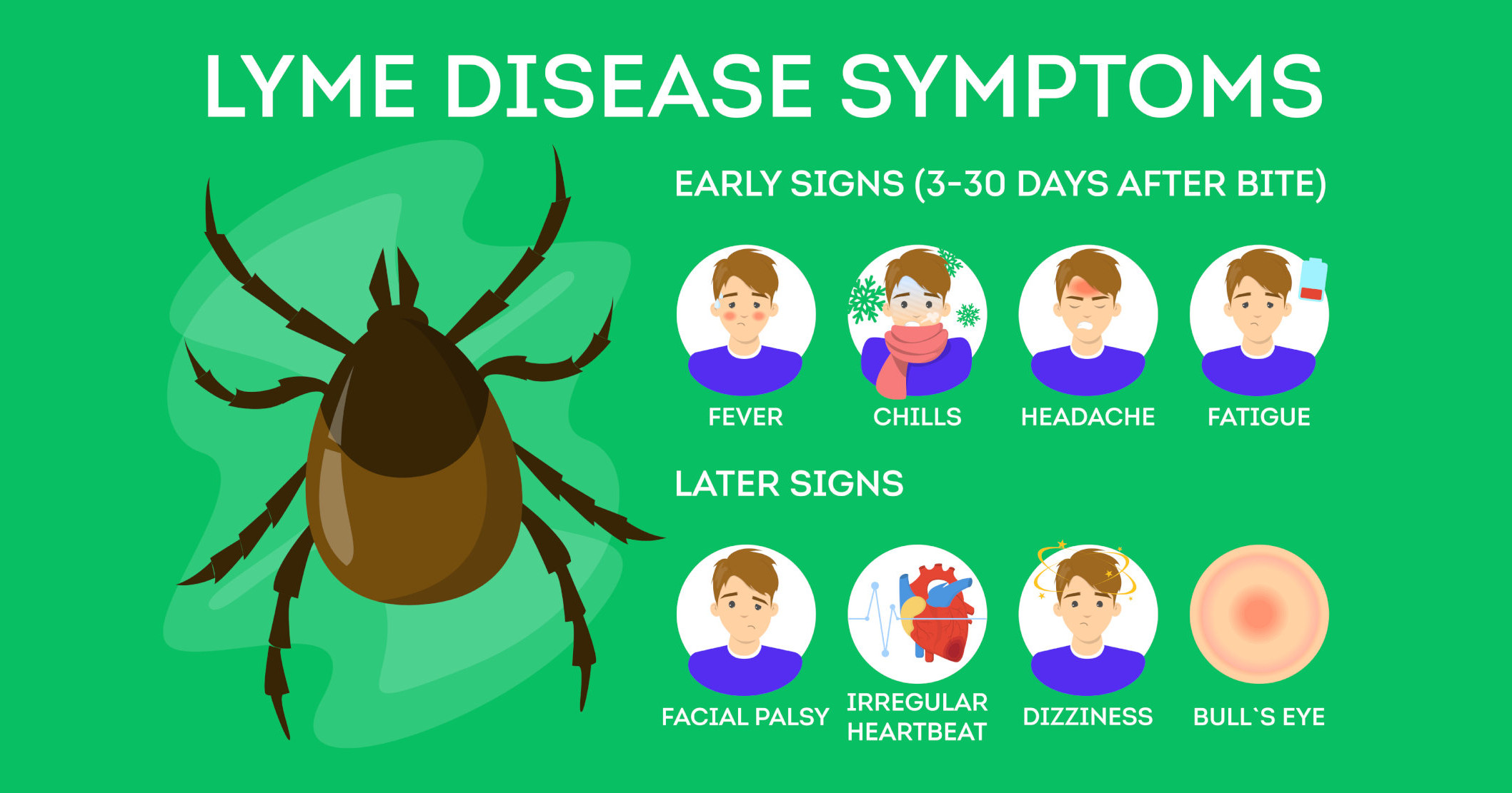Functional testing is crucial to uncover if Lyme disease is truly present as not everyone sees a tick or bulls-eye rash