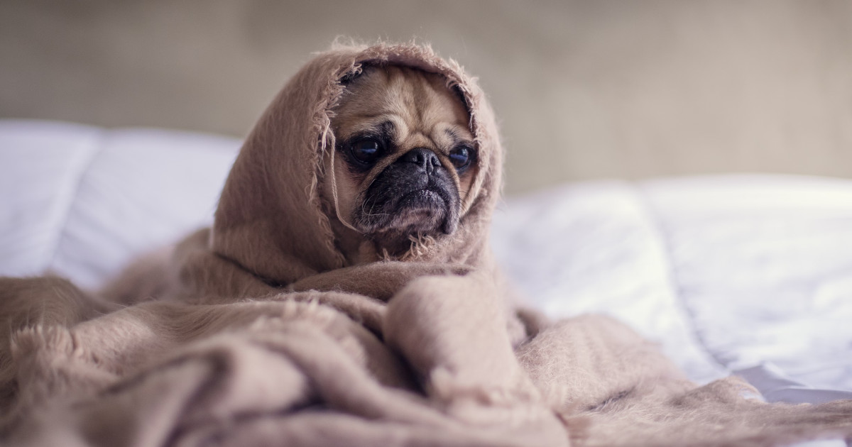 Sleep Smarter: Tips for Restful Nights and Better Health