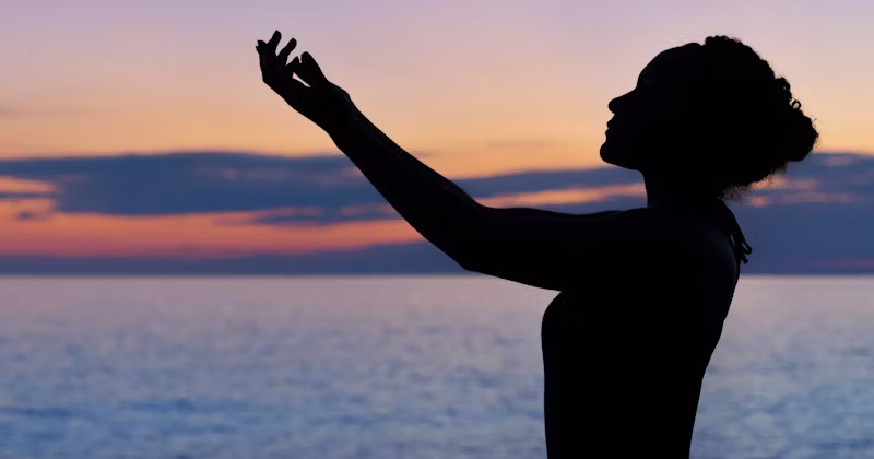 What is Wellness?