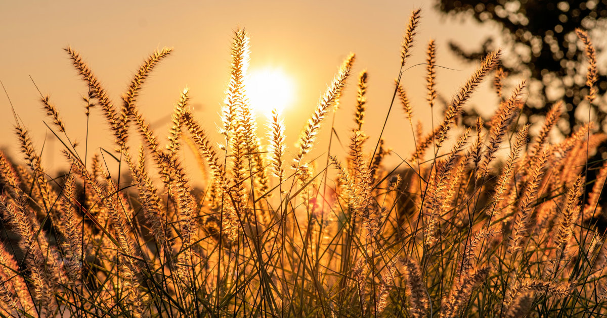 Why Cortisol Rhythm Matters in the Morning