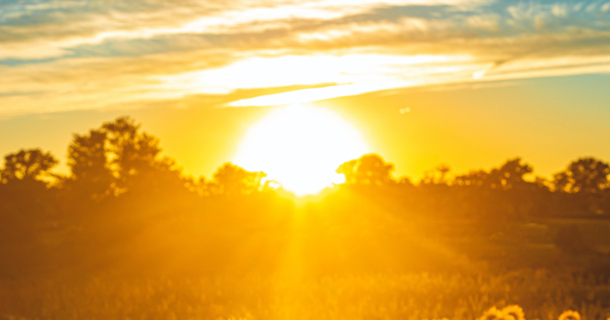 Why is Vitamin D so Important?