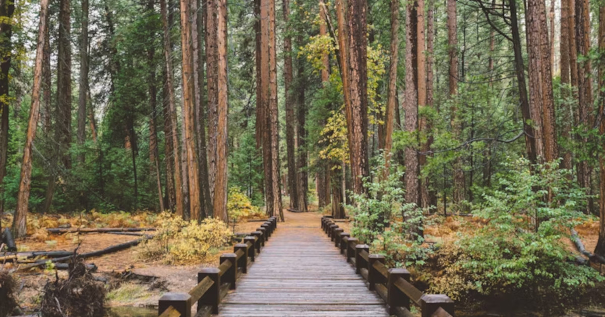 Your Health Journey Starts with Connection